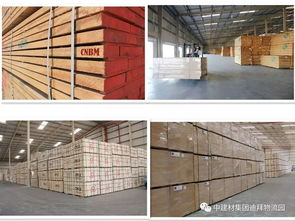 盤點(diǎn)2017年上半年入駐中國建材迪拜海外倉產(chǎn)品動態(tài)與銷售趨勢